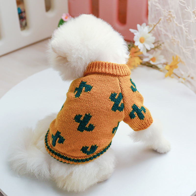 Pet enjoying the outdoors in sweater