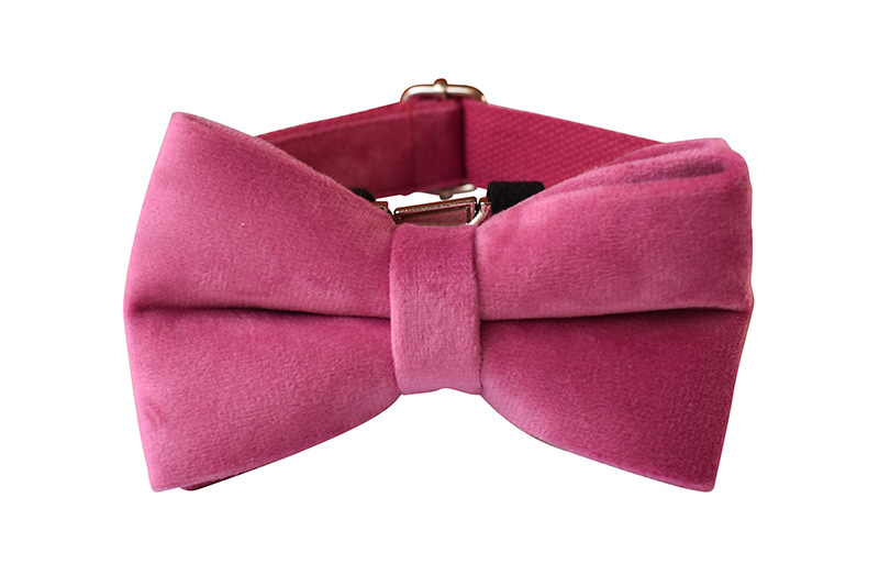 Perfect for Any Occasion