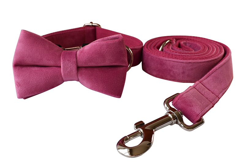 Stylish and Functional