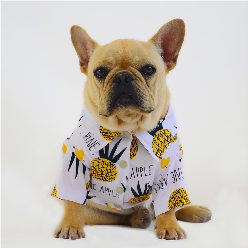 dog wears cute printed pet shirt