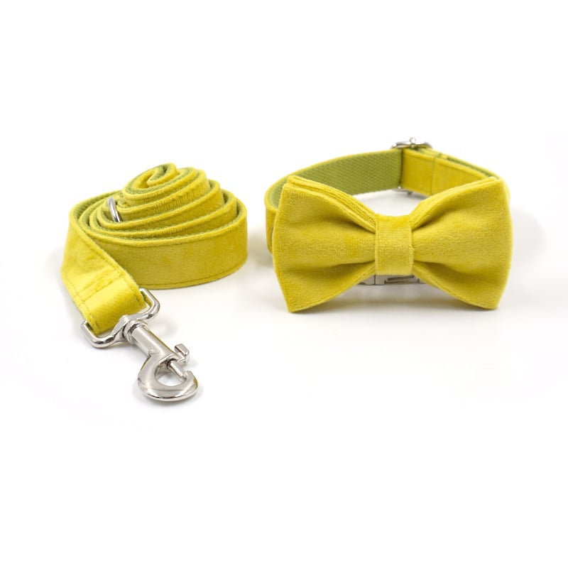 Elegant Dog Go Out Set