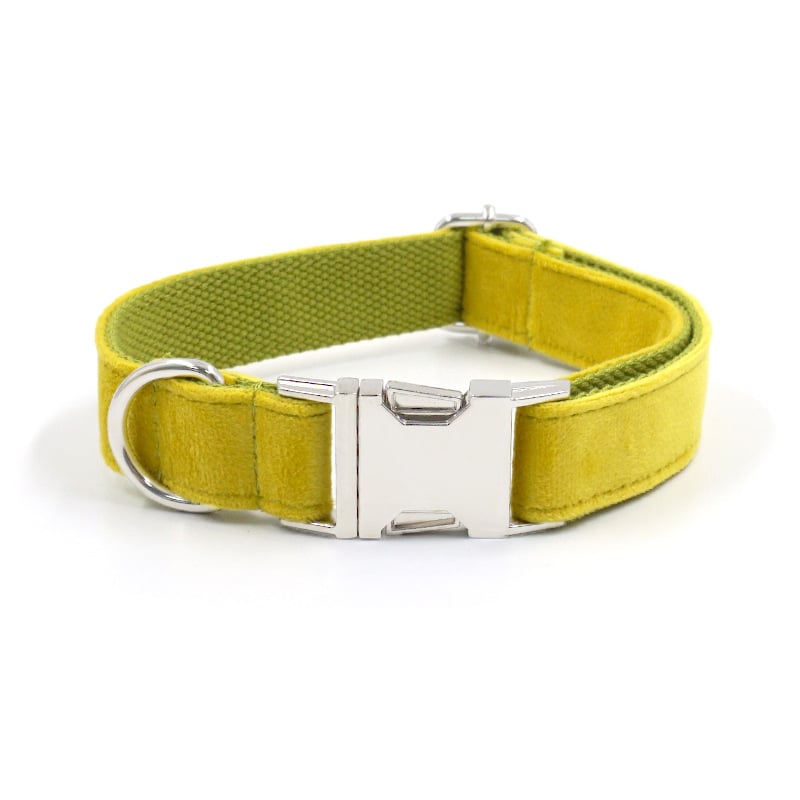 Dog Leash Set