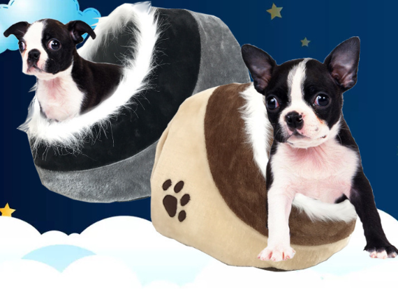 Dog Kennel Teddy Bear Boomerang Samoye Image 3