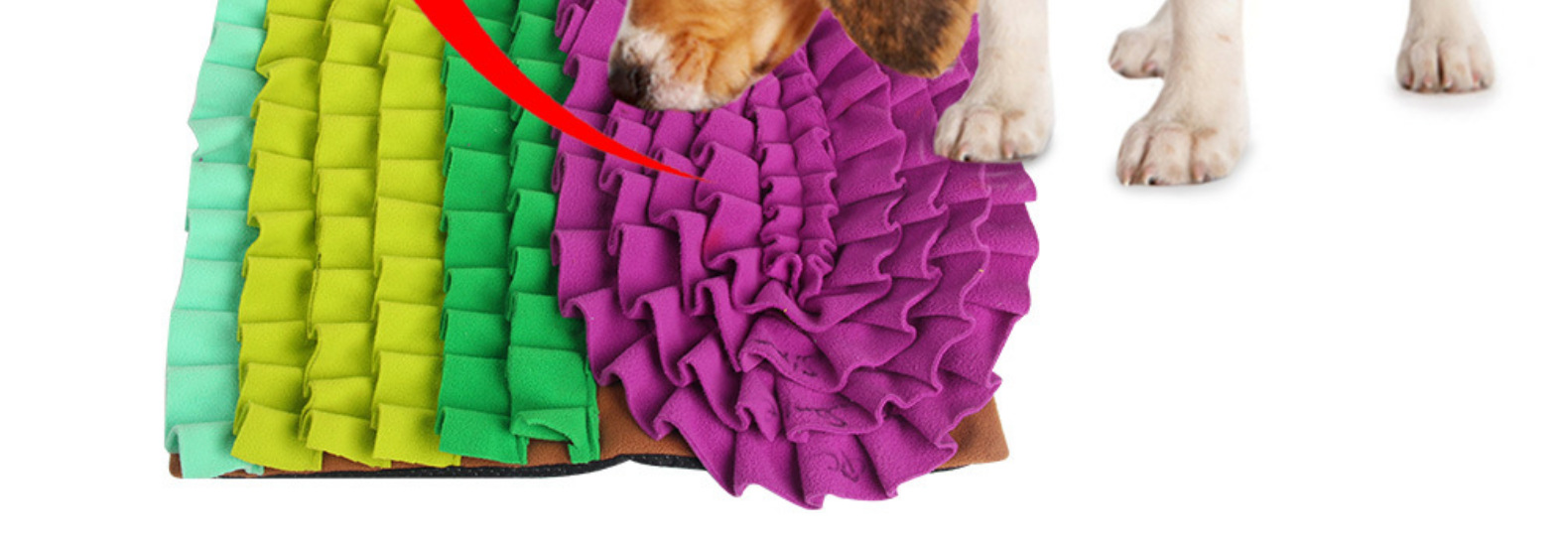 Interactive Dog Toy