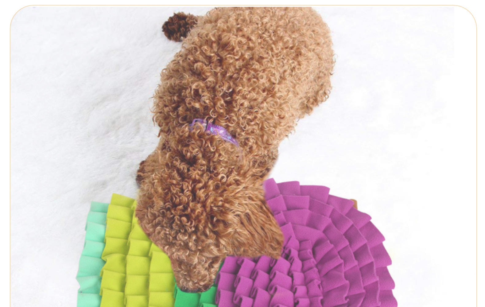 Slow Food Puzzle for Dogs