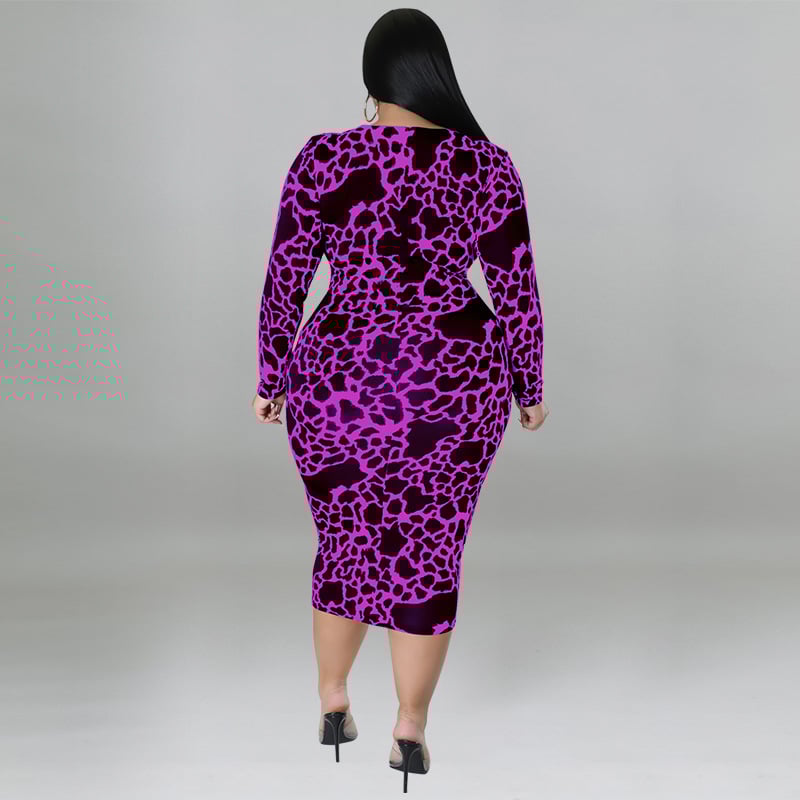 Leopard Print Dress