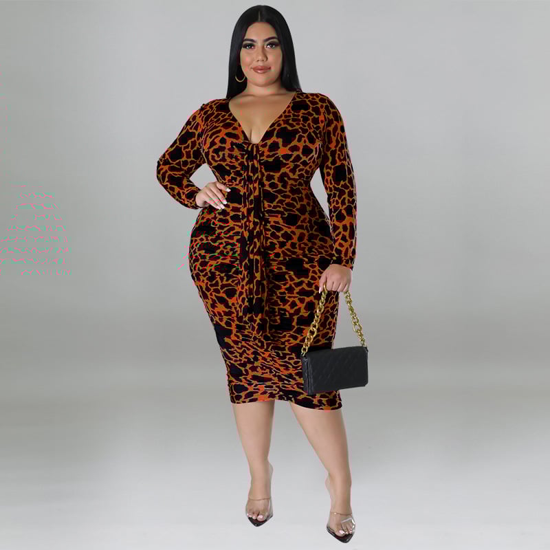 Leopard Print Dress