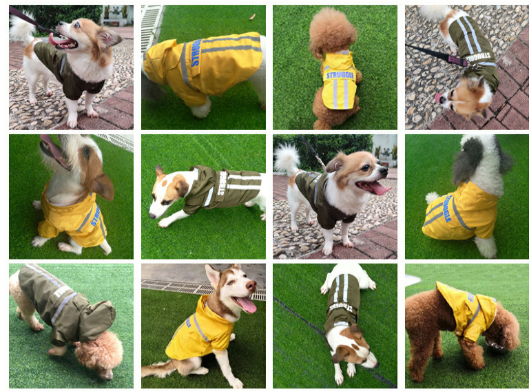 Pet Raincoat Image 5