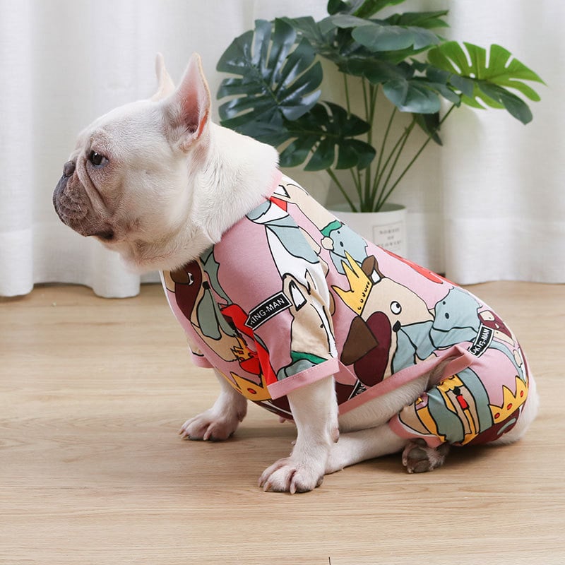 Dog relaxing indoors with a full-body thin sweater