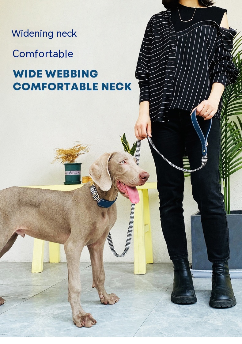 Dog Collar Image 6