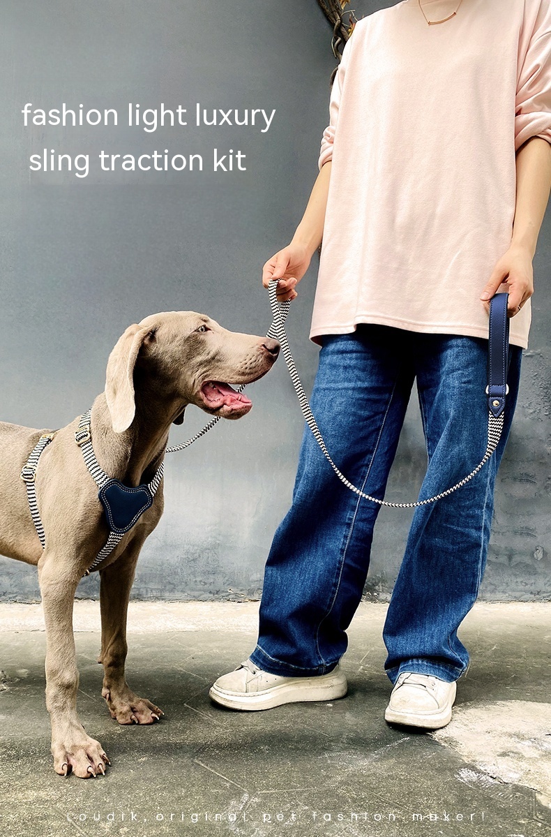 Dog Collar Image 2