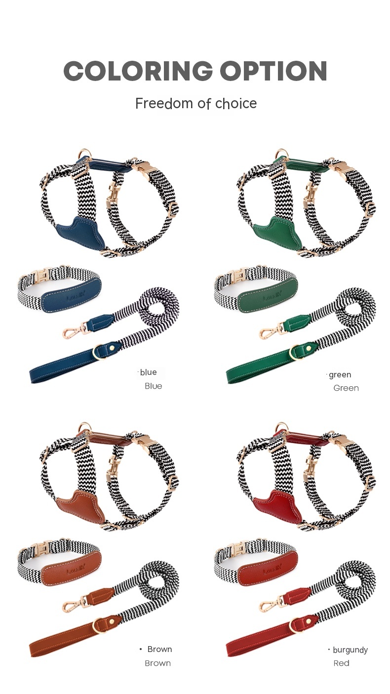 Dog Collar Image 4