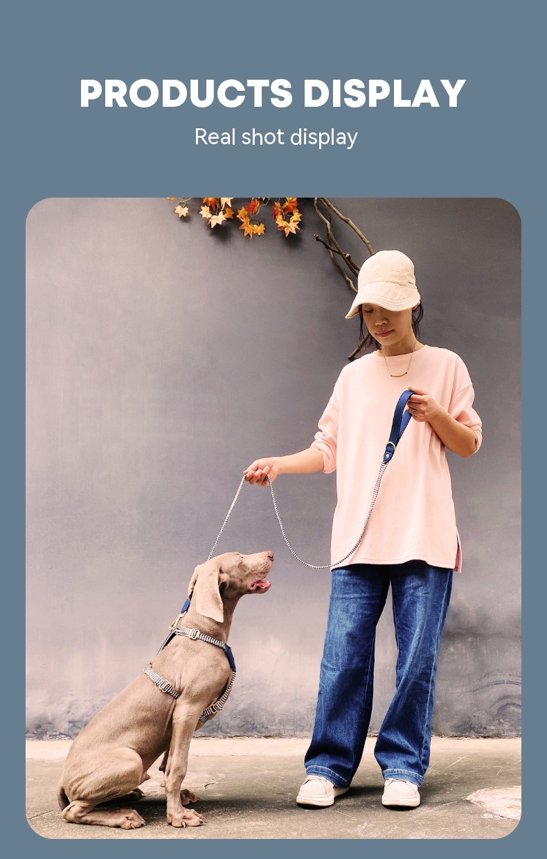 Dog Collar Image 10
