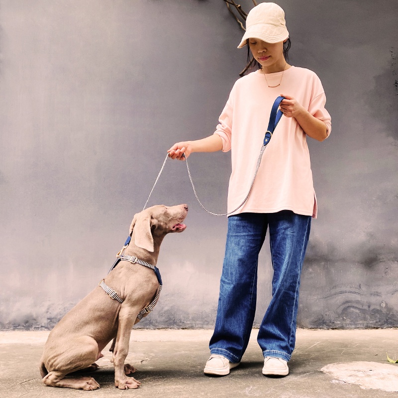 Dog Collar Image 14