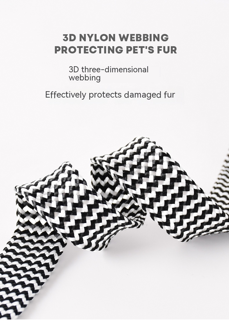 Dog Collar Image 7