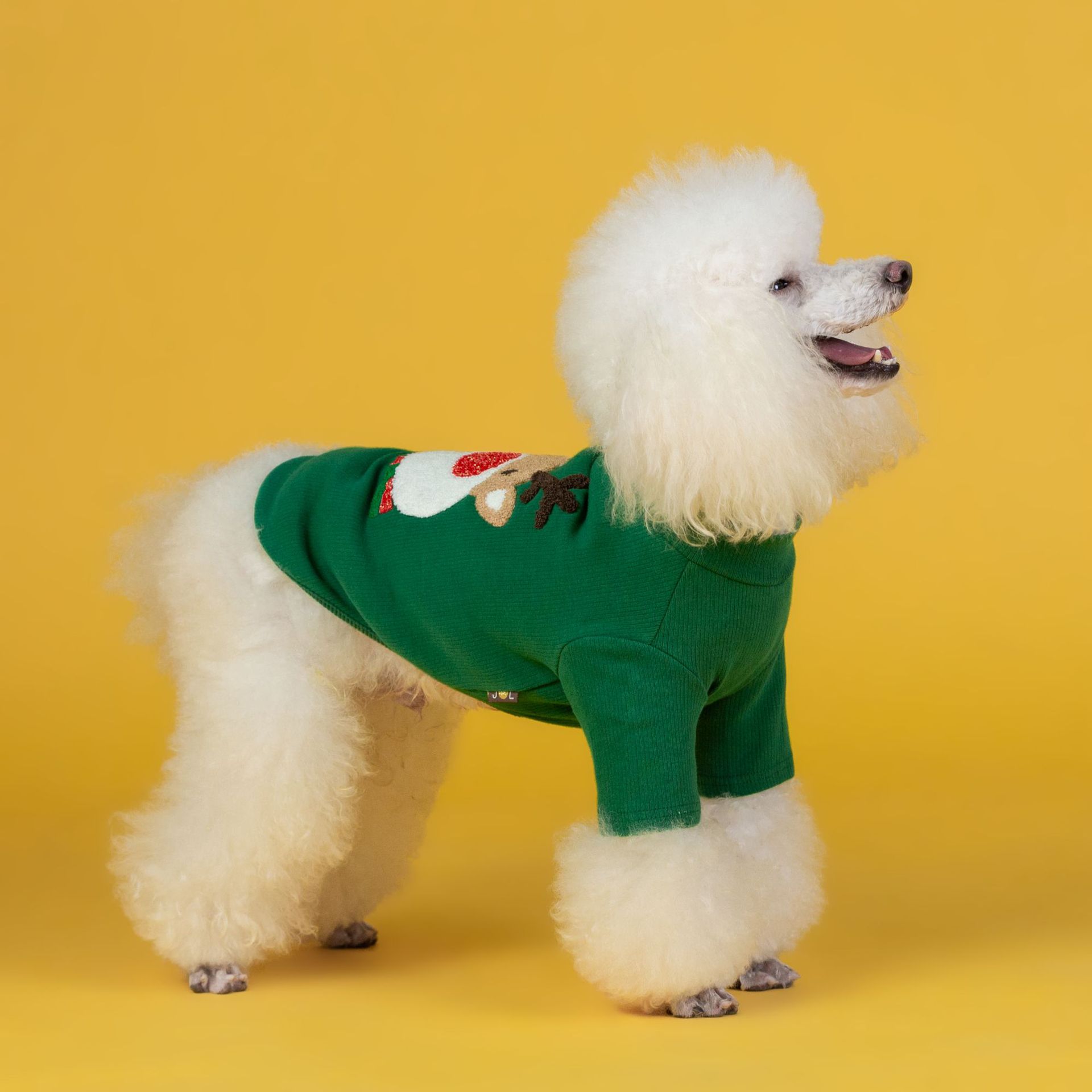 Puppy Wearing Cozy Sweater