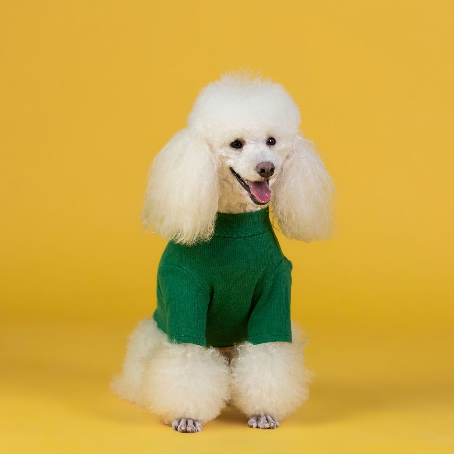 Puppy Fashion