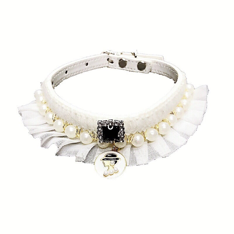 Elegant Pet Collar