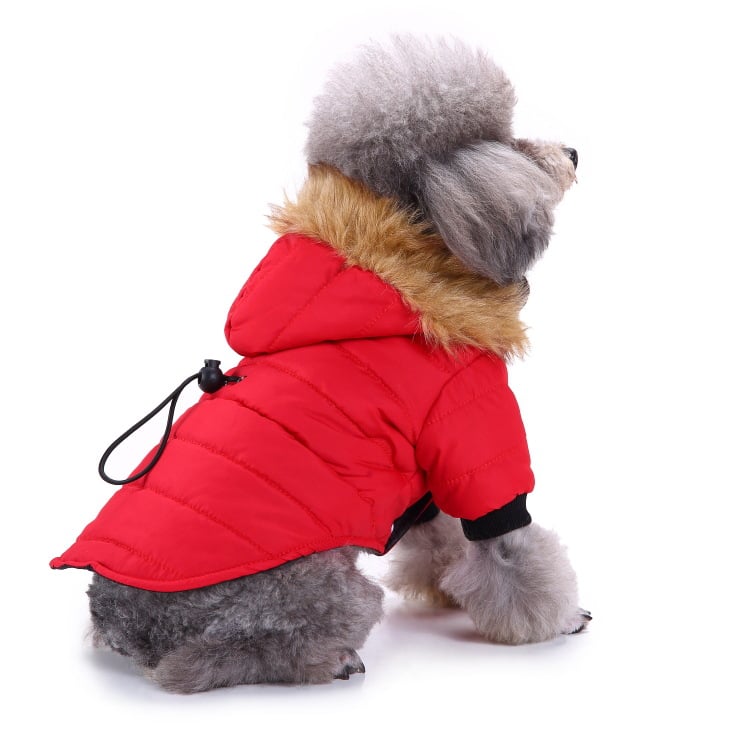 Pet Sweater