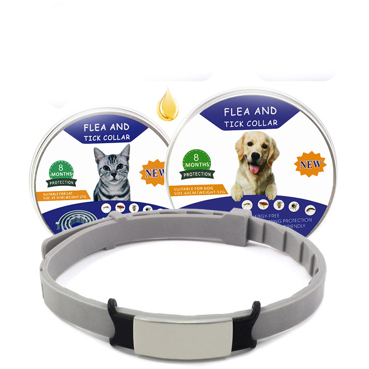 Flea Repellent Collar on Dog