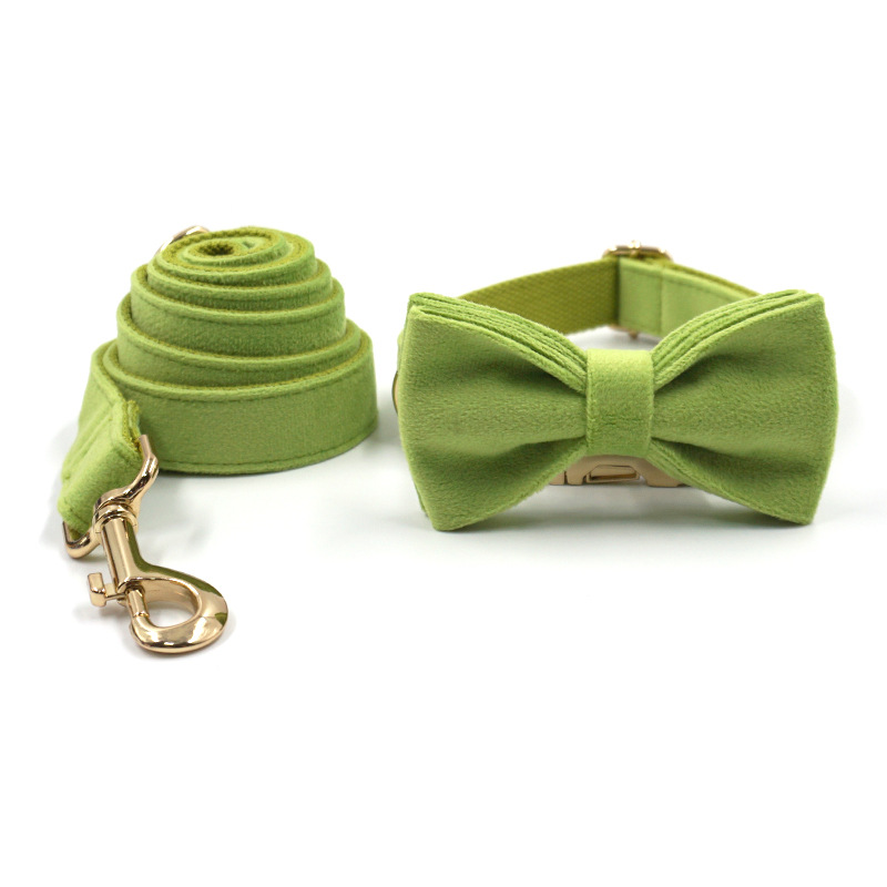 Pet Wearing Collar