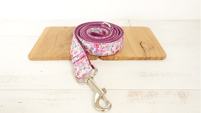 Leash Variation 2