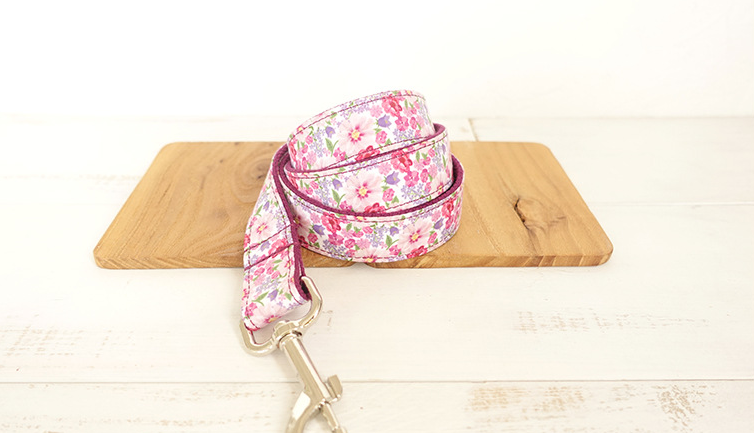 Leash Variation 3