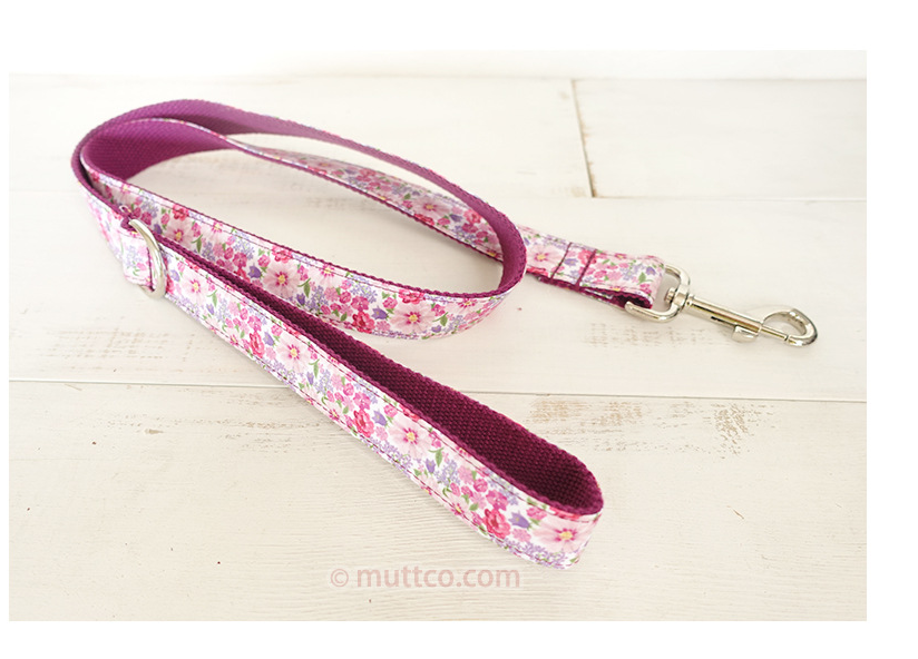 Leash Variation 1