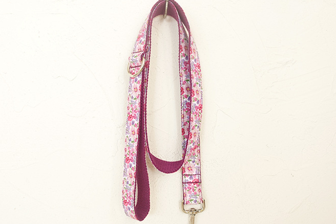 Leash Variation 5