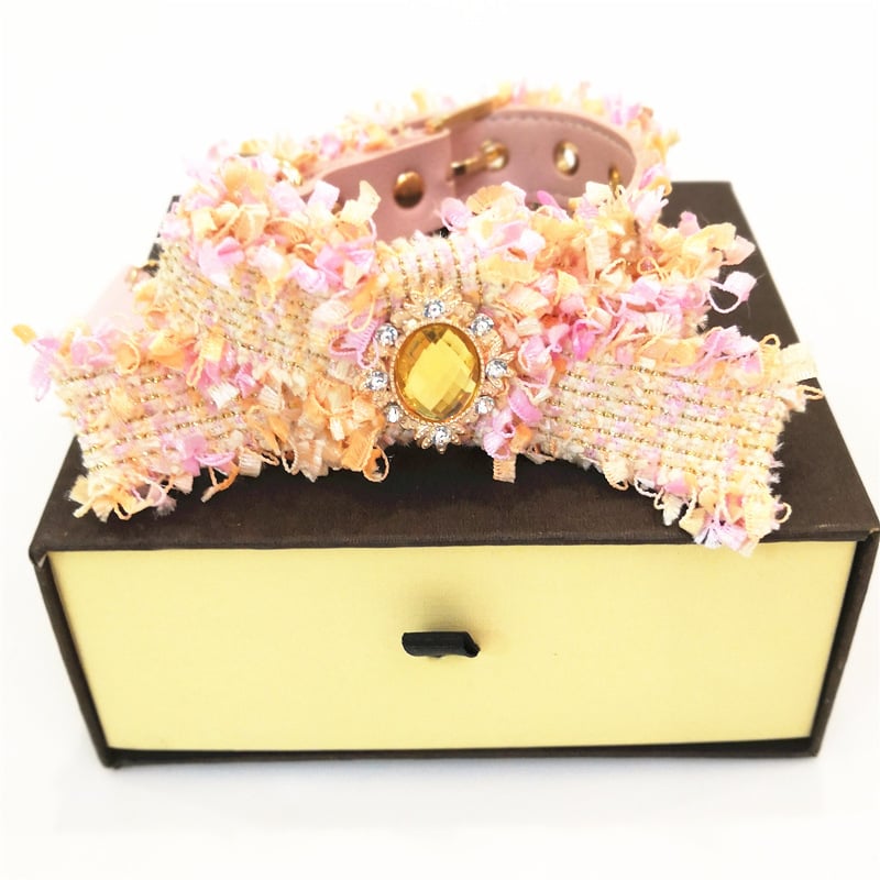 Fashionable Pet Accessory