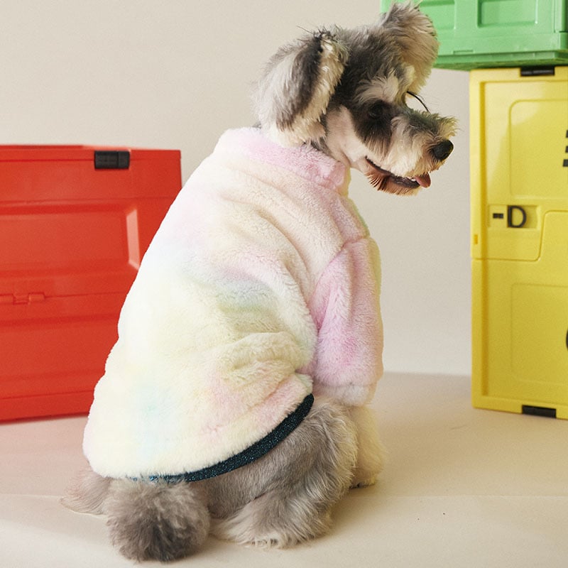 Cozy Dog Outfit