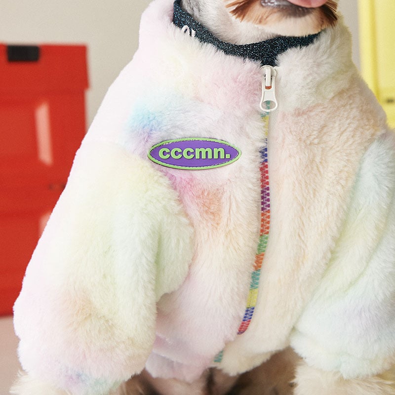Stylish Dog