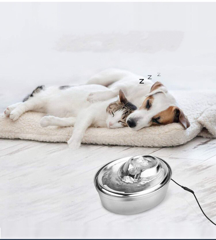 Stainless Steel Pet Water Dispenser Image 5