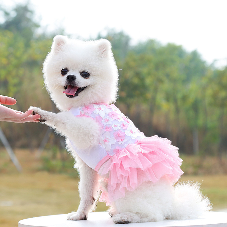 Peach Blossom Skirt Pink