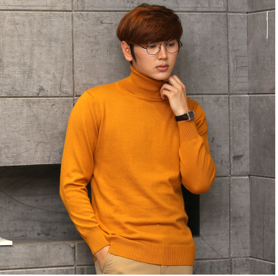 Knit Sweater in Action