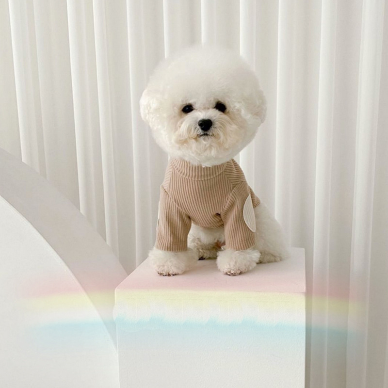 Pet Base Clothes Image 2