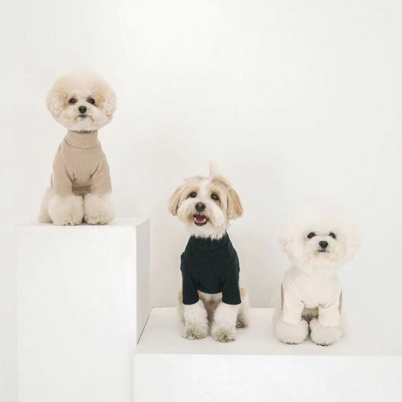 Pet Base Clothes Image 5