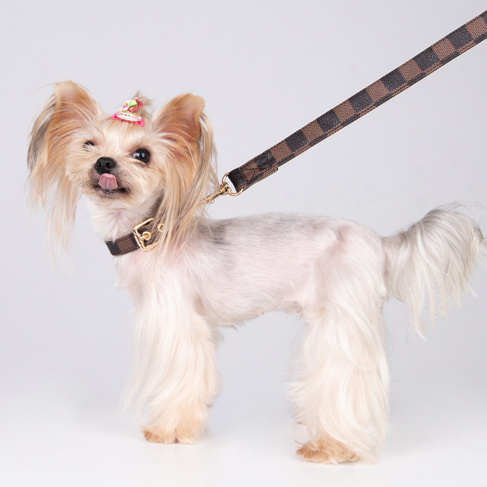 Collar and Leash Set