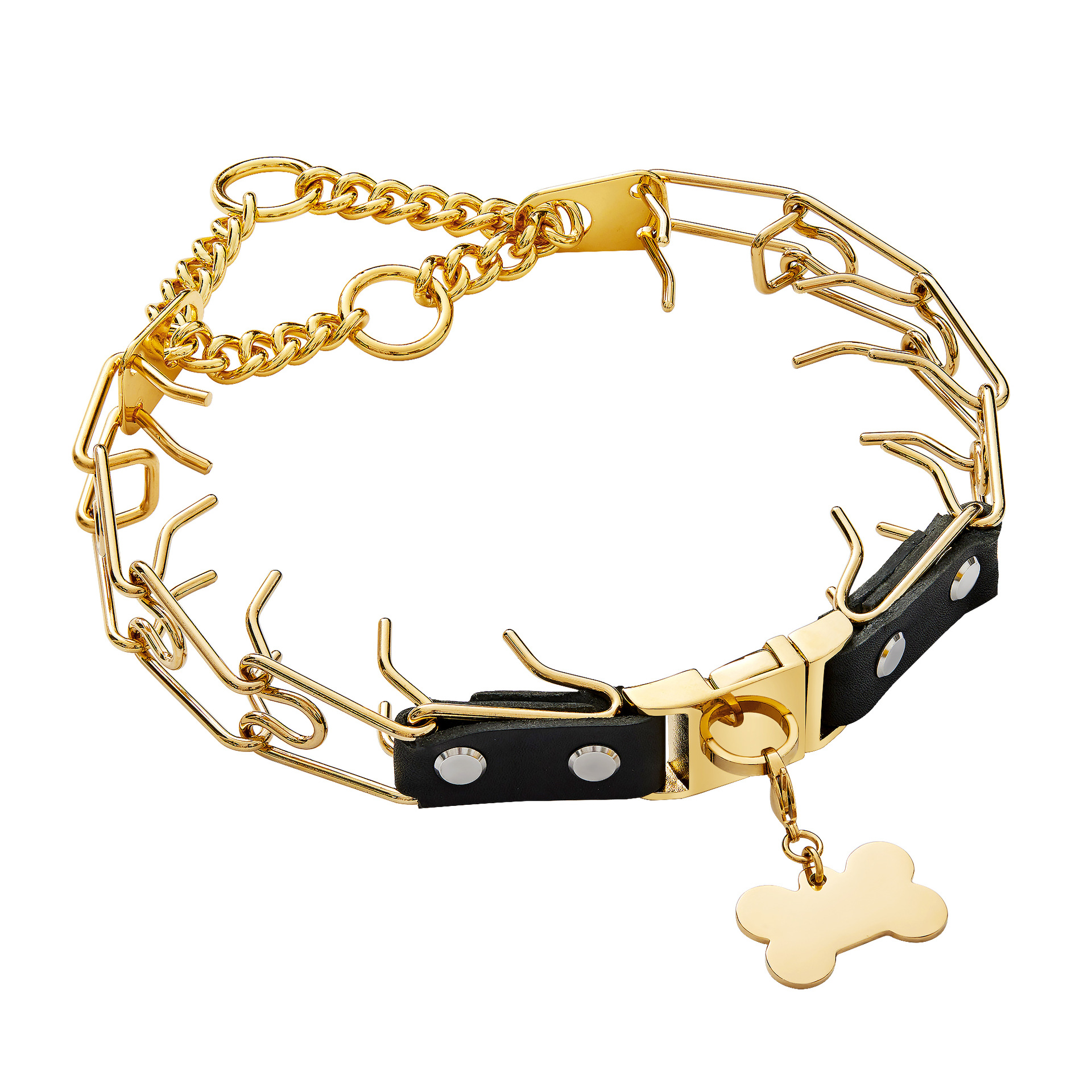 Pet Stainless Steel Collar 1
