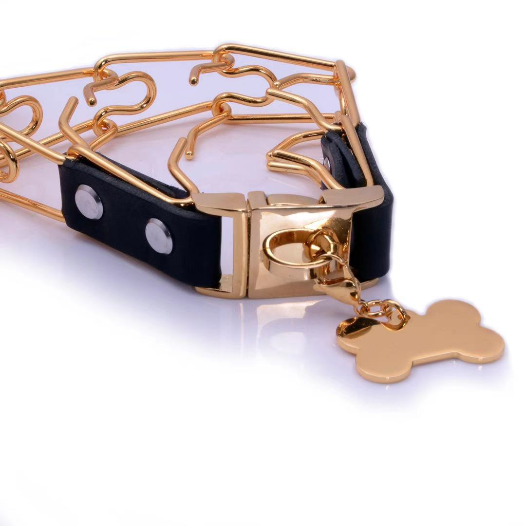 Pet Stainless Steel Collar 6