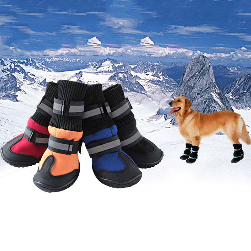 Dog wearing winter boots