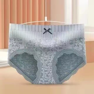 Elegant Lace Briefs