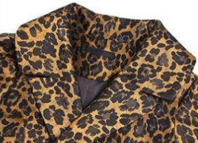 Leopard Print Jacket Image 13