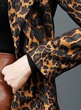 Leopard Print Jacket Image 11