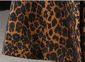 Leopard Print Jacket Image 12