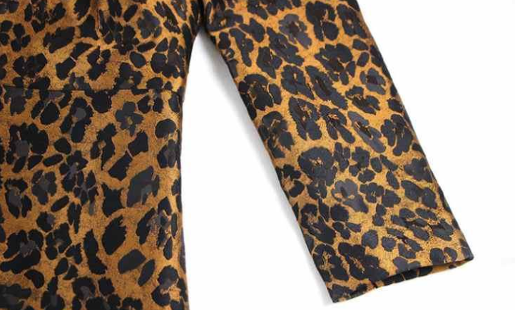 Leopard Print Jacket Image 8