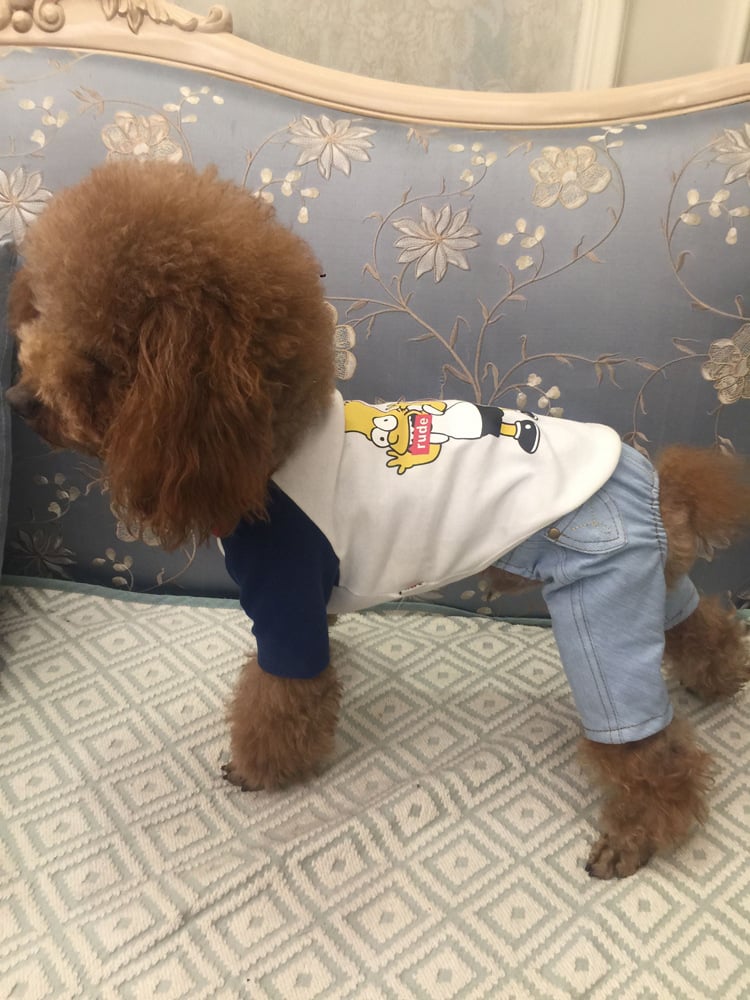 Dog Denim Overalls Image 1