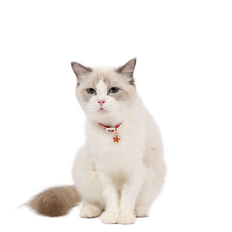 Pink Bell Collar