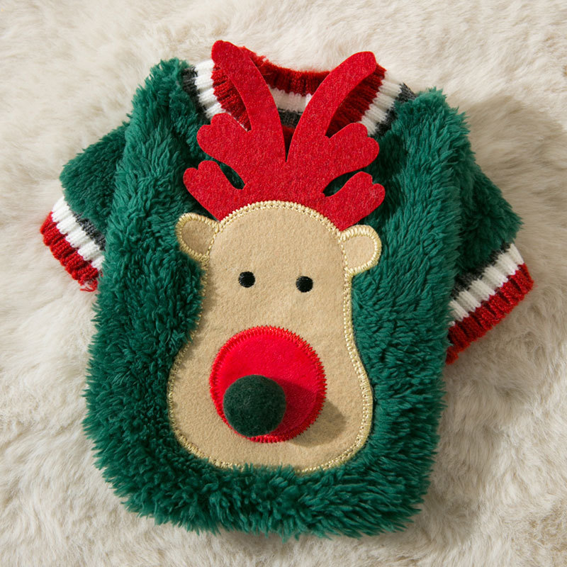 Puppy in Winter Clothes