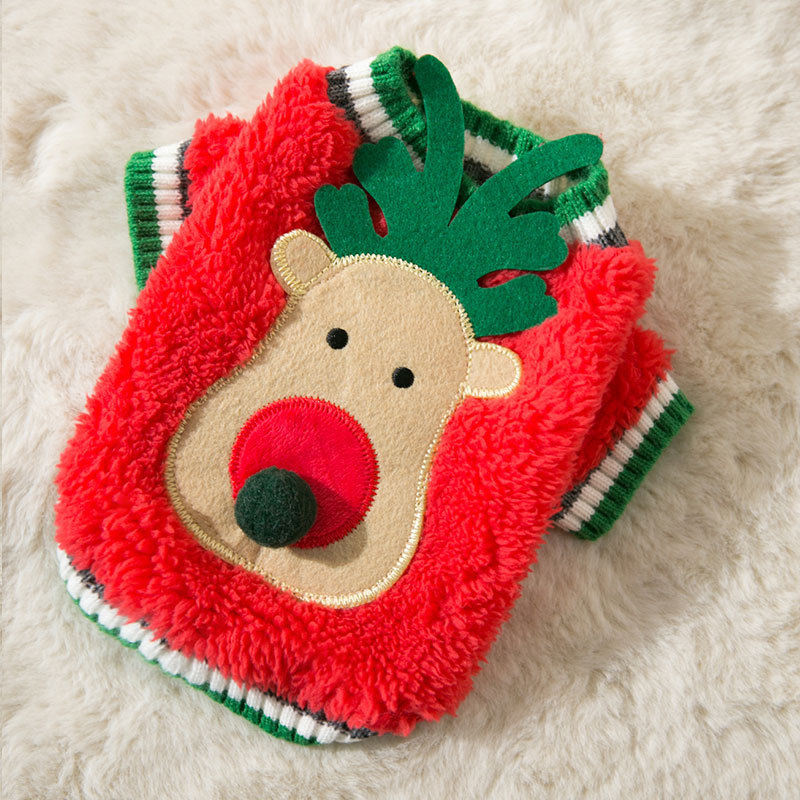 Cute Puppy in Fleece Clothes